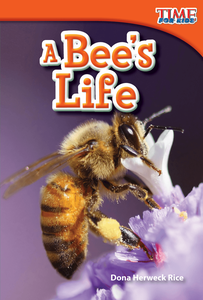 A Bee's Life