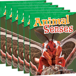 Animal Senses 6-Pack