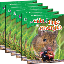 La vida y el flujo de energía 6-Pack