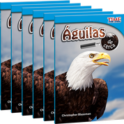 Águilas de cerca 6-Pack