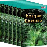 Entra al bosque lluvioso 6-Pack