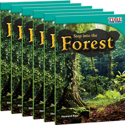 Step into the Forest 6-Pack