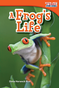 A Frog's Life