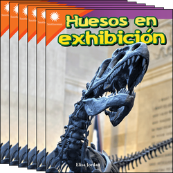 Huesos en exhibición 6-Pack