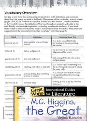 M.C. Higgins, the Great Vocabulary Activities