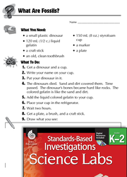 Quick Science Lab: What Are Fossils? Grades K-2