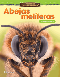 Animales asombrosos: Abejas melíferas: Valor posicional